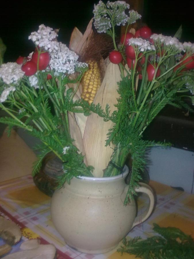 Chata Friday Ktová 外观 照片